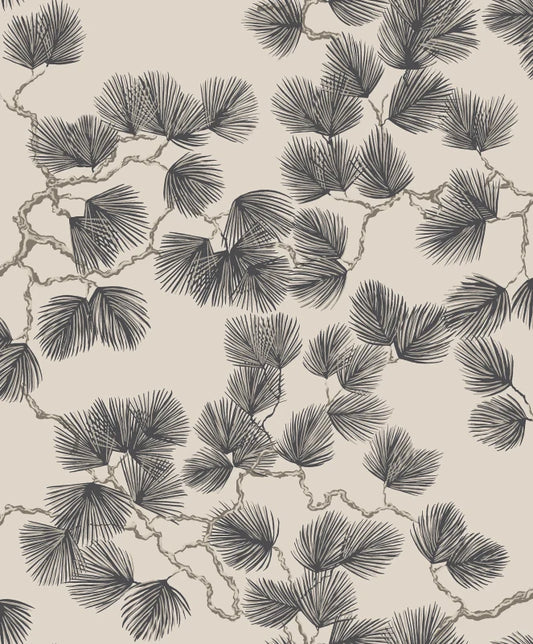 Sandberg Pine, Brown - S10325