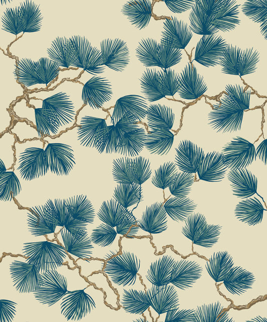 Sandberg Pine, Blue - S10327