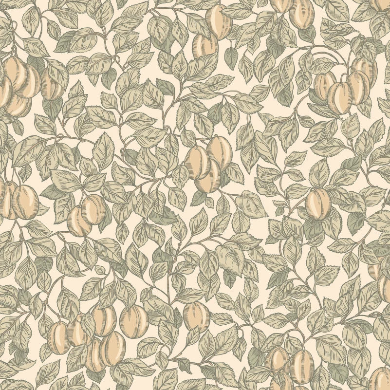 Sandberg Emrik, Oat - S10466