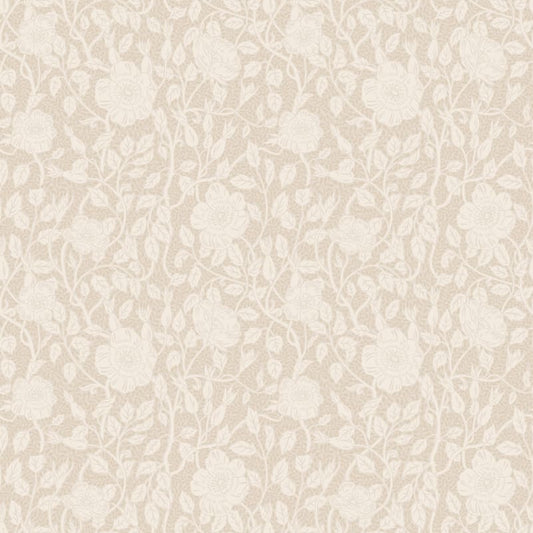 Sandberg Anton, Sandstone - S10567