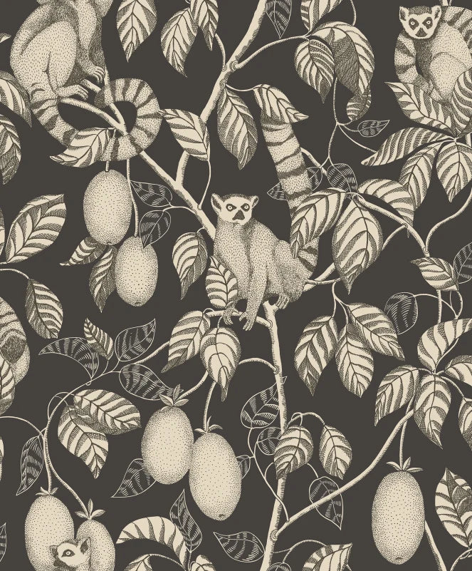Sandberg Elliot, Graphite - S10631