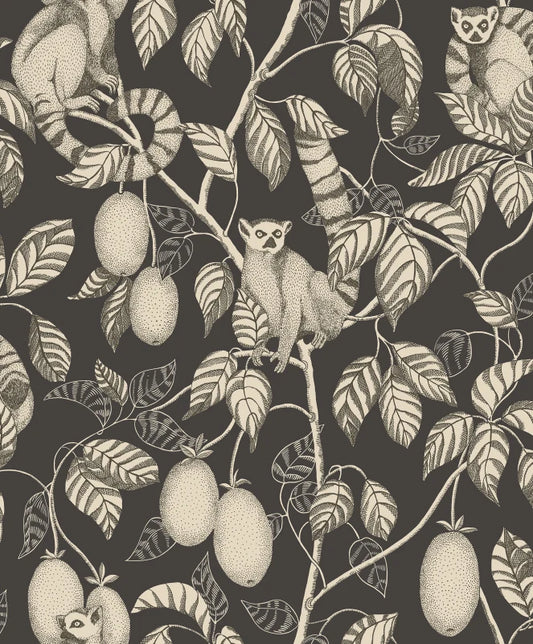 Sandberg Elliot, Graphite - S10631
