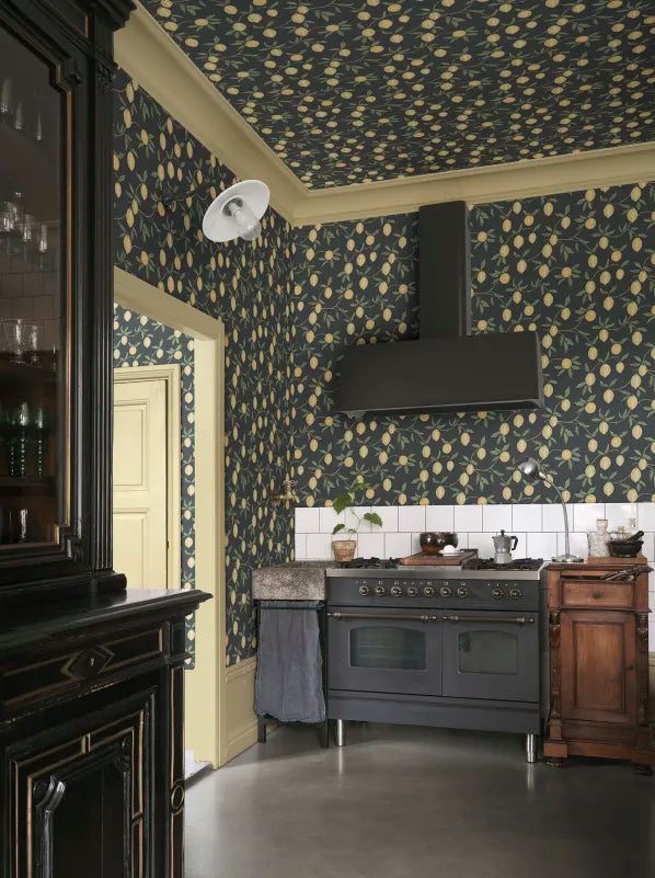 Sandberg Limone, Charcoal - S10668