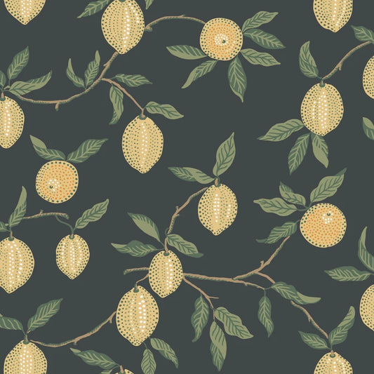Sandberg Limone, Charcoal - S10668