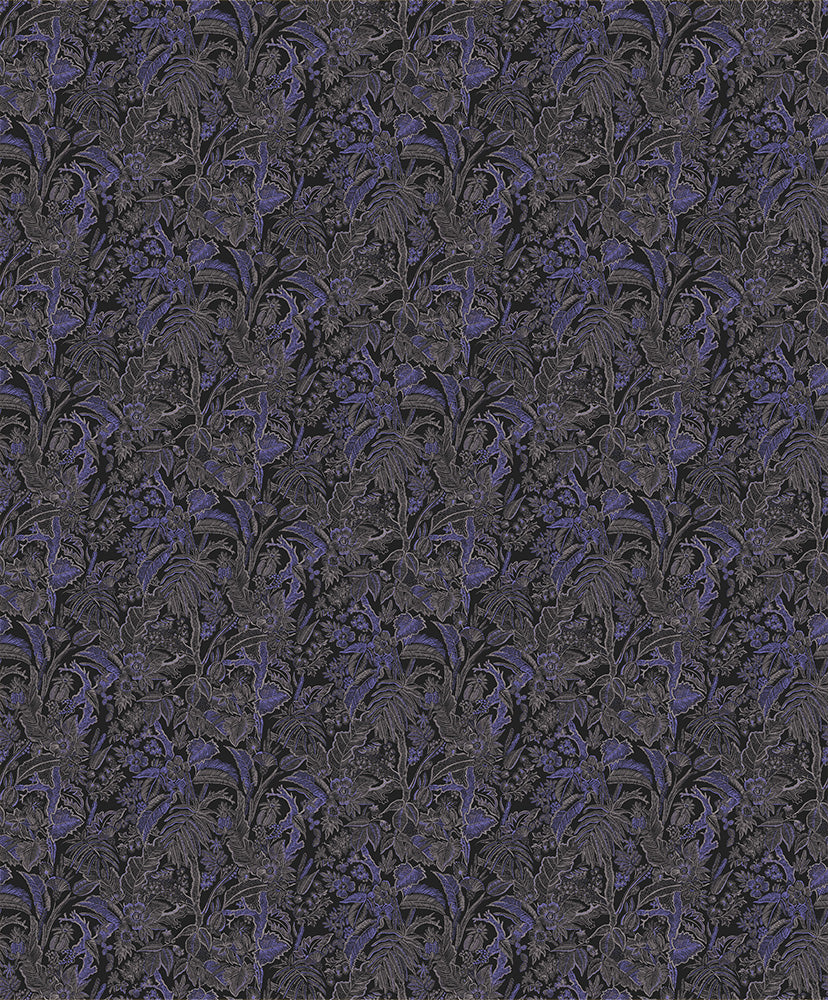 Midbec Onikar Amparo - SUM503