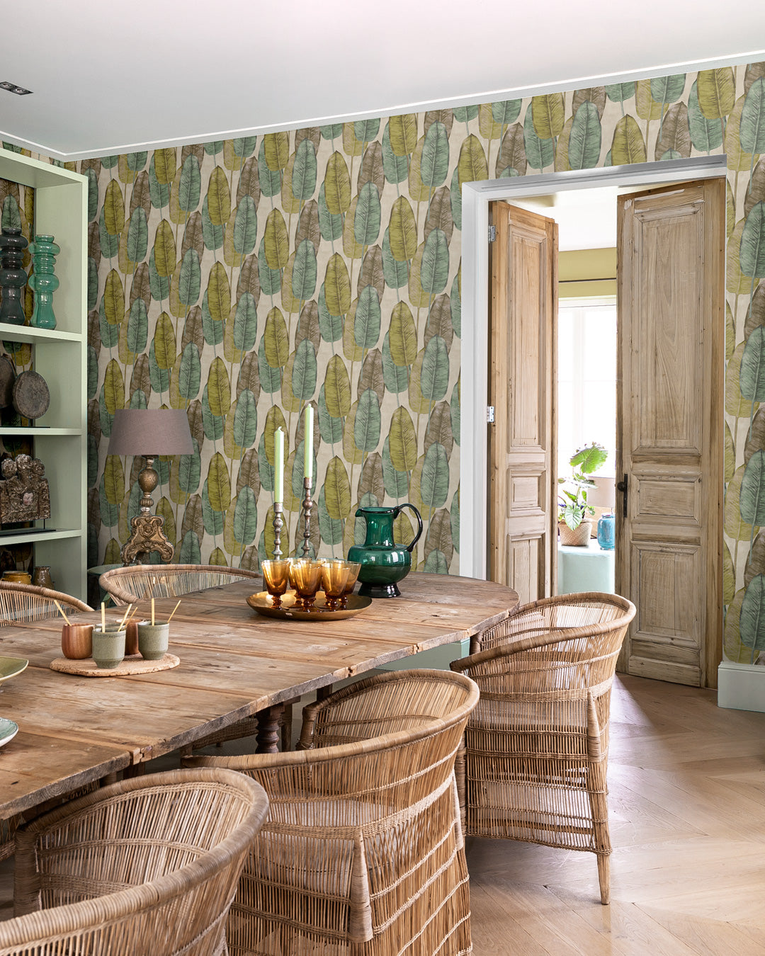 Midbec Rubber Tree - TA25081