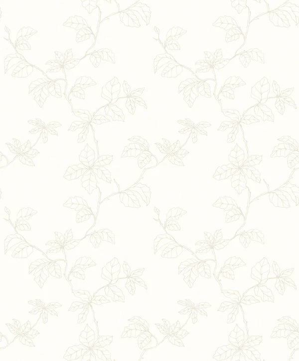 Fiona Home NW Shadow of Branches - 200201