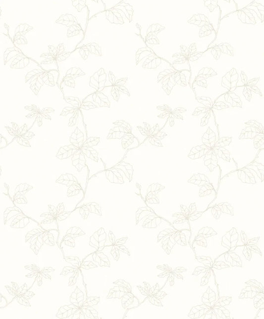 Fiona Home NW Shadow of Branches - 200201